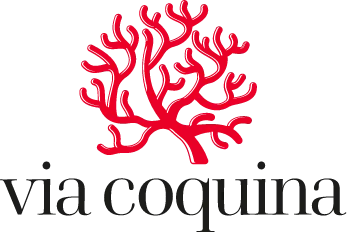 viacoquina.com