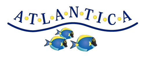 atlanticaresort.com