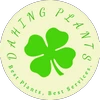 dahingplants.com