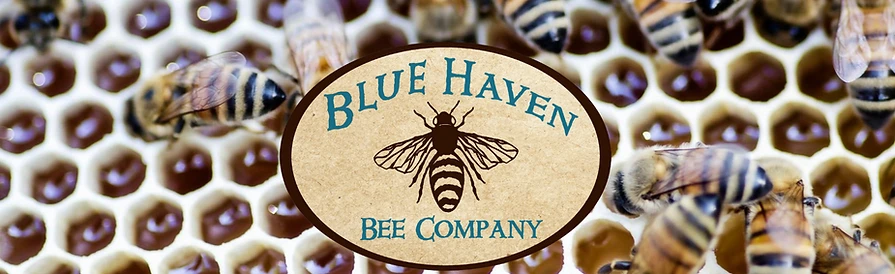 bluehavenbee.com