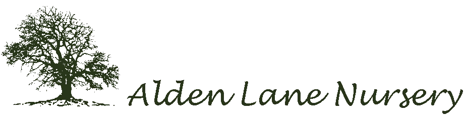 aldenlane.com