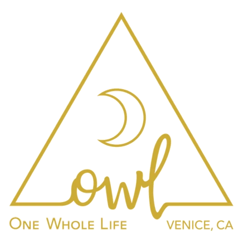 owlvenice.com