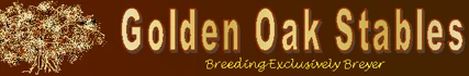 goldenoakstables.com