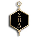 sigmabetadelta.org