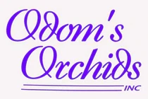 odoms.com