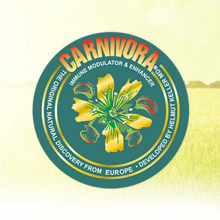 carnivora.com