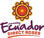 ecuadordirectroses.com