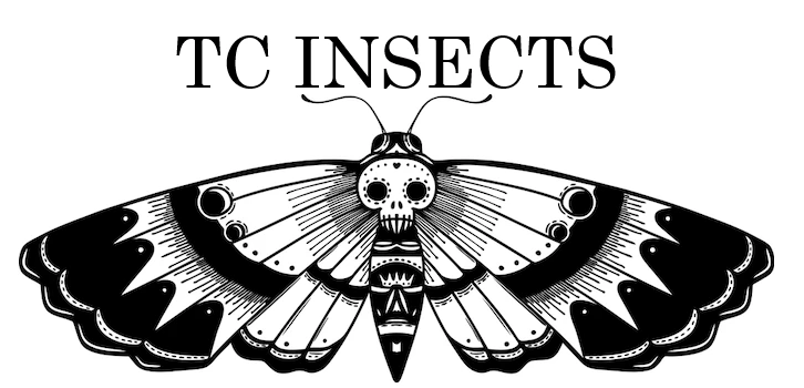 tcinsects.com