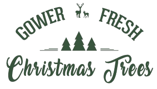 gowerfreshchristmastrees.co.uk