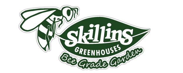 skillins.com