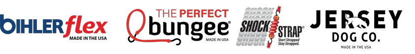 theperfectbungee.com