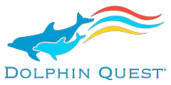 dolphinquest.com