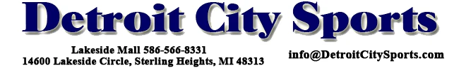 detroitcitysports.com