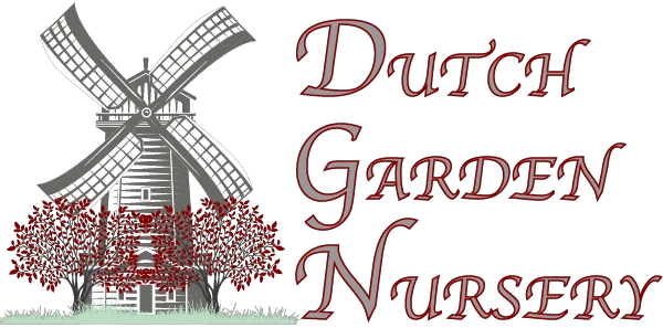 dutchgardennursery.com