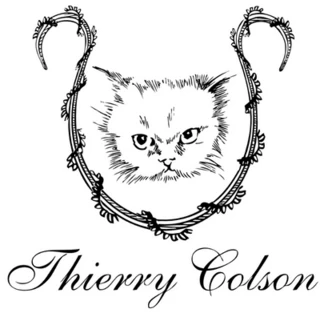 thierrycolson.com