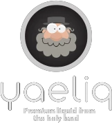 yaeliq.com