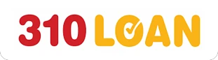 310loan.com