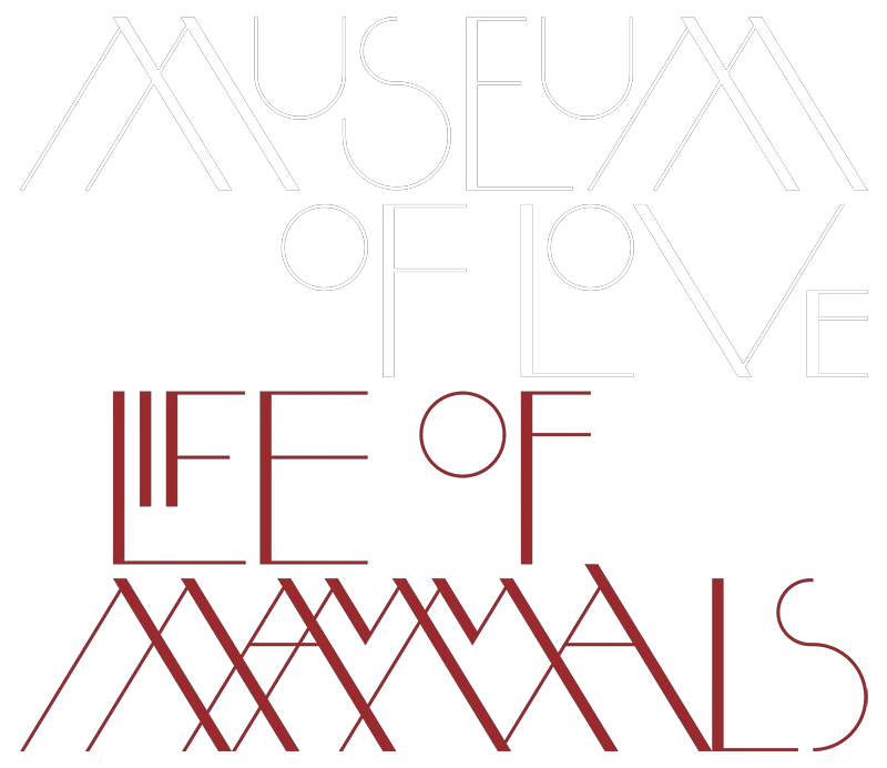 museumoflove.net