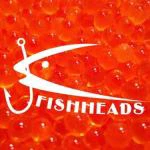 fishheadscanada.net