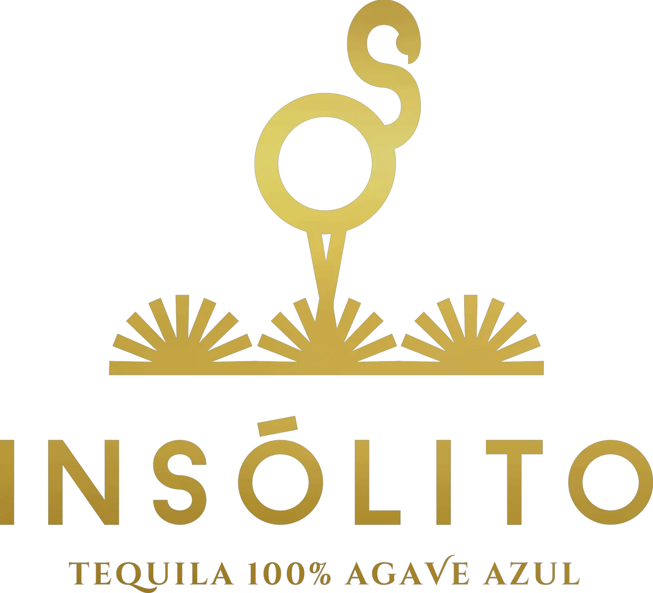 insolitotequila.com