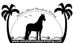 ameliaislandhorsebackriding.com