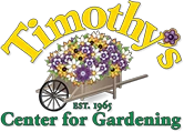 timothyscenter.com