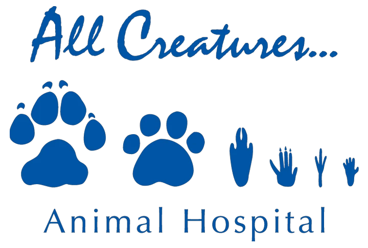 allcreaturesanimalhospital.com