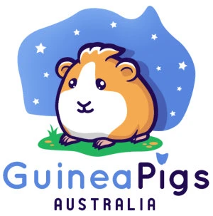 shop.guineapigsaustralia.com.au