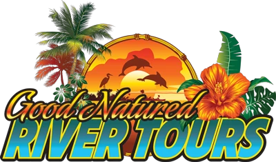 goodnaturedrivertours.com