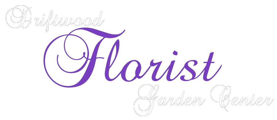 driftwoodgardencenterandflorist.com