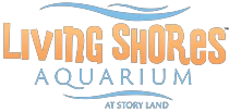 livingshores.com