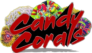 candycorals.ca