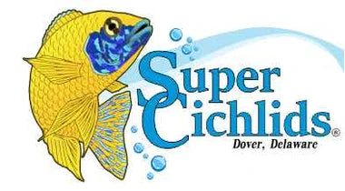 supercichlids.com