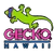 geckohawaii.com