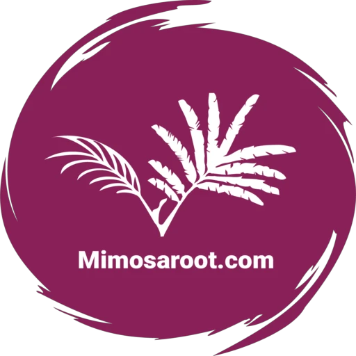 mimosaroot.com