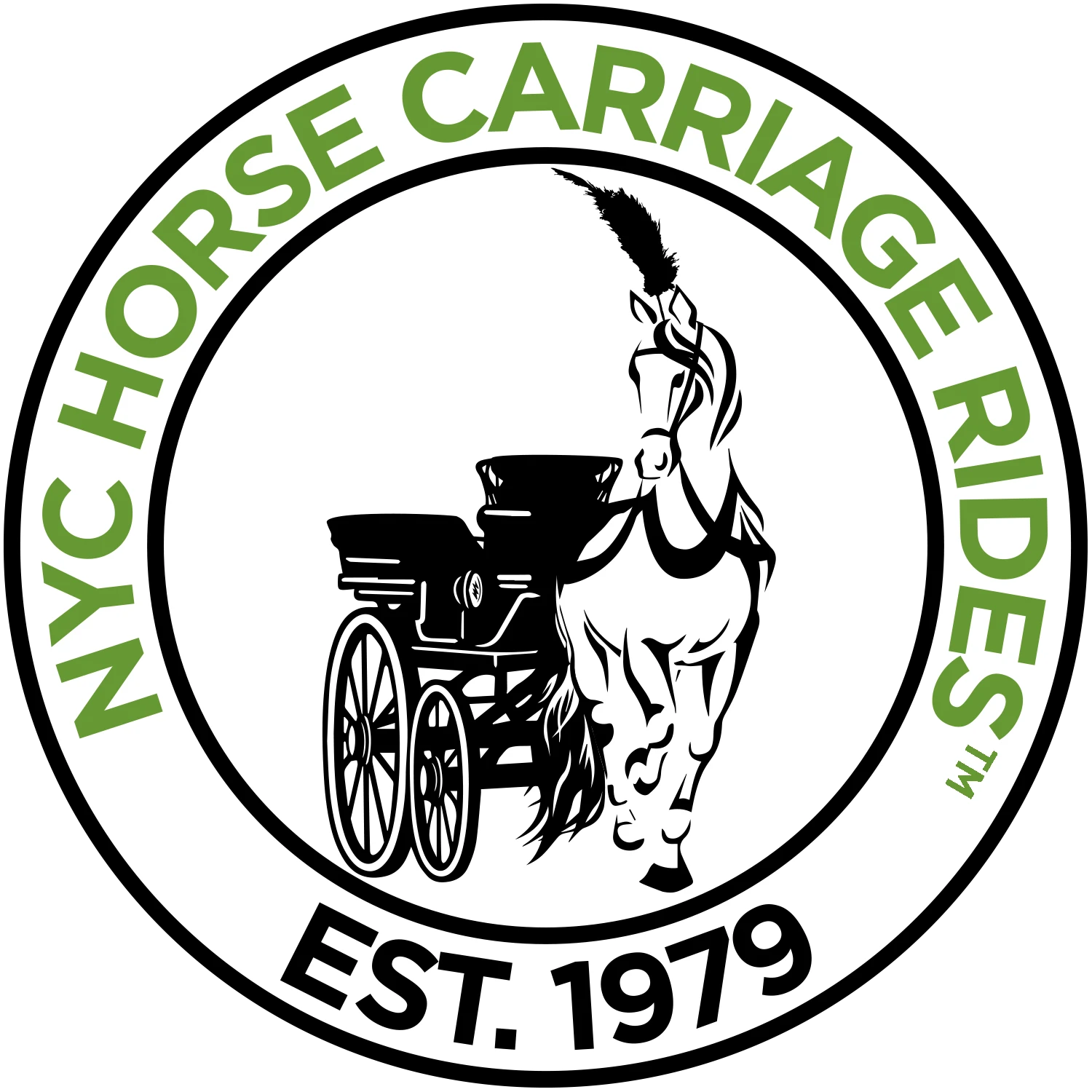 nychorsecarriagerides.com