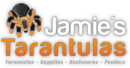 jamiestarantulas.com