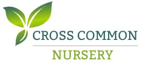 crosscommonnursery.co.uk