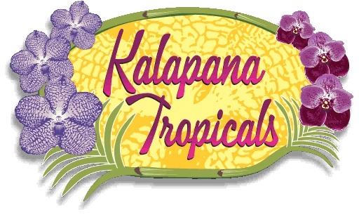 kalapanatropicals.com