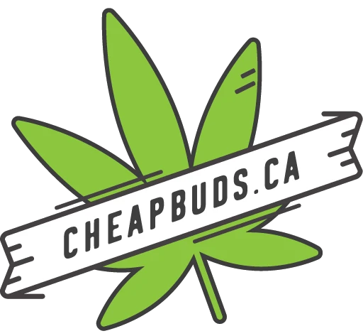 cheapbuds.co