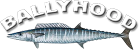 ballyhood.com