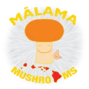 malamamushrooms.com