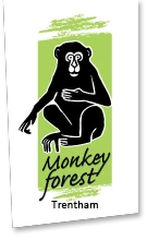 monkey-forest.com