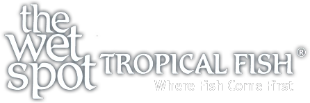 wetspottropicalfish.com