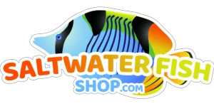 saltwaterfishshop.com