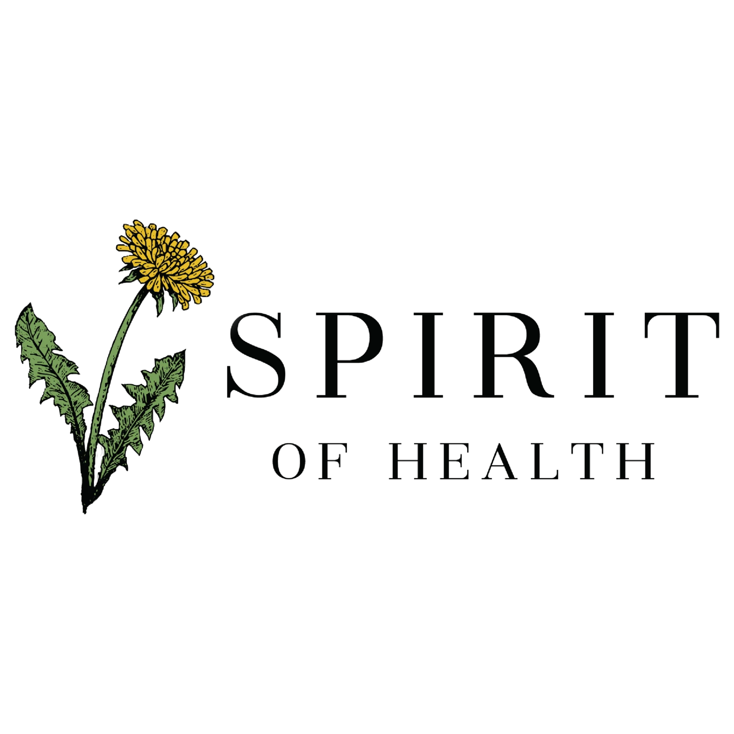 spiritofhealthkc.com