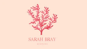 sarahbraybermuda.com