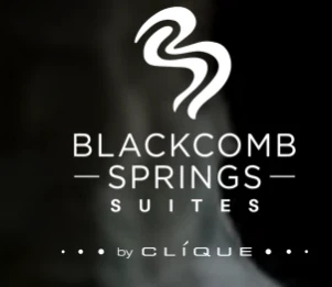 blackcombspringssuites.ca