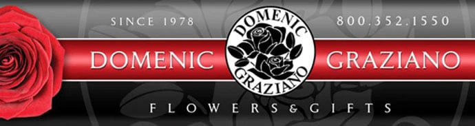 domenicgraziano.com