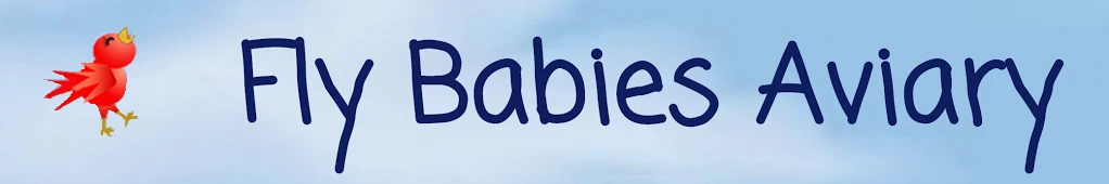 flybabiesaviary.com